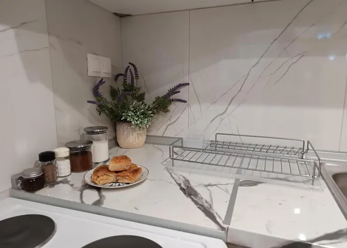 Isidora 公寓 扎戈拉