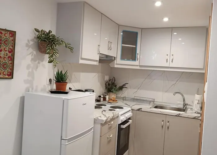 公寓 Isidora 扎戈拉